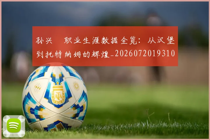 孙兴慜职业生涯数据全览：从汉堡到托特纳姆的辉煌_20260720193101