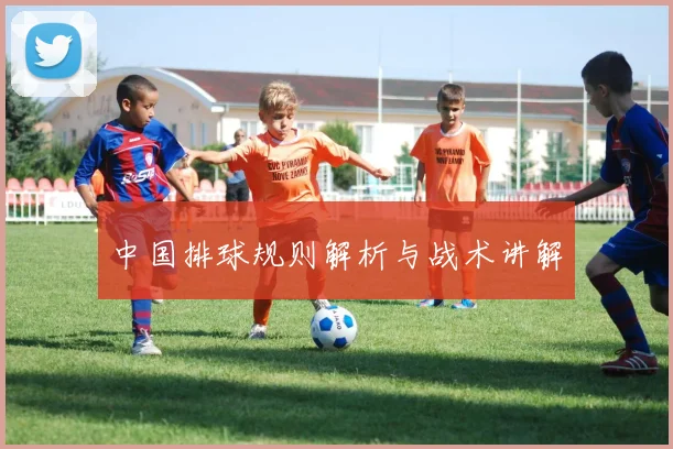 中国排球规则解析与战术讲解