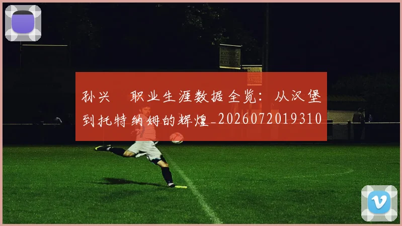 孙兴慜职业生涯数据全览：从汉堡到托特纳姆的辉煌_20260720193101